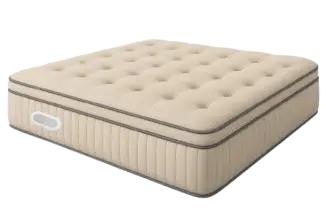 Premium AI Mattress